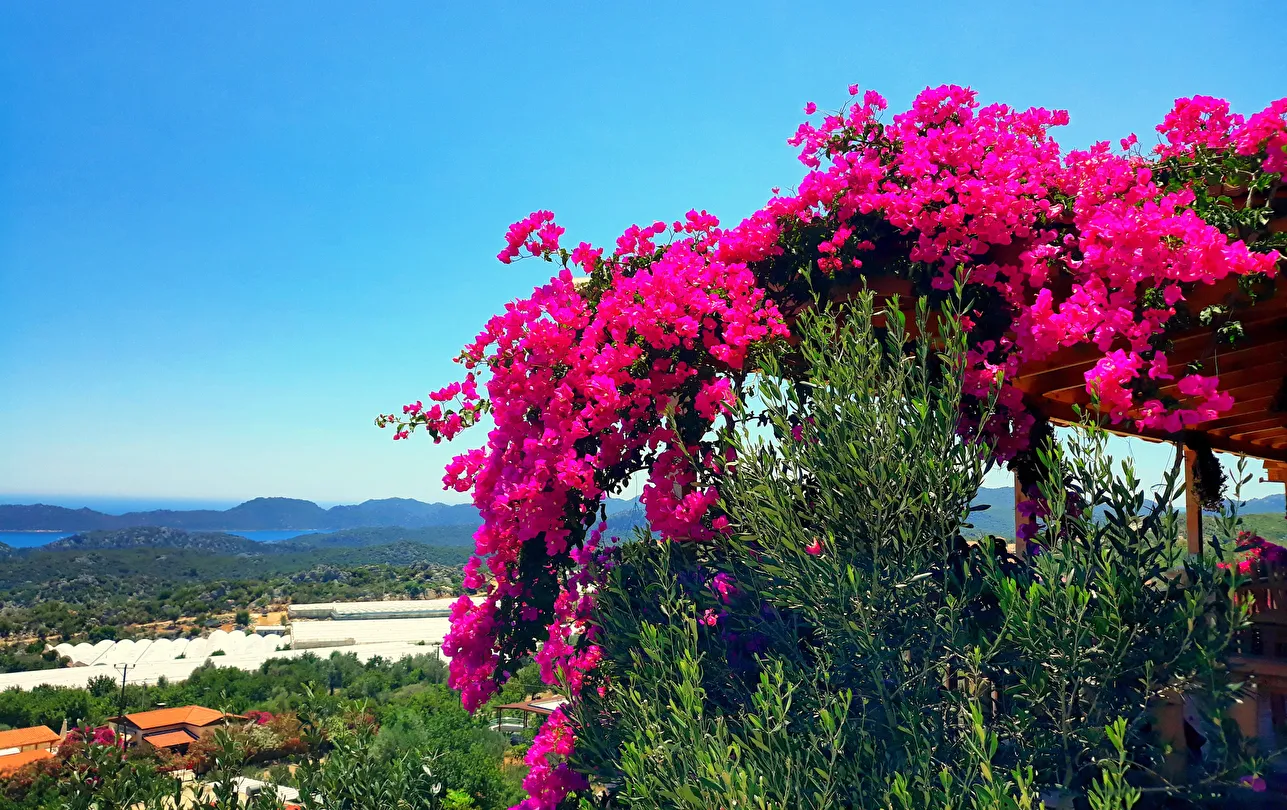 Hotel view 13