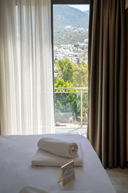 Hotel view 104