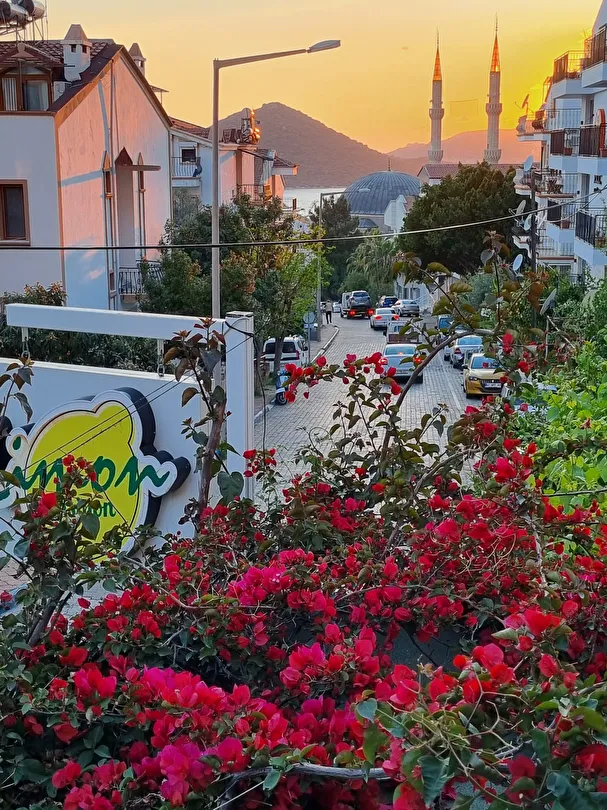 Hotel view 31