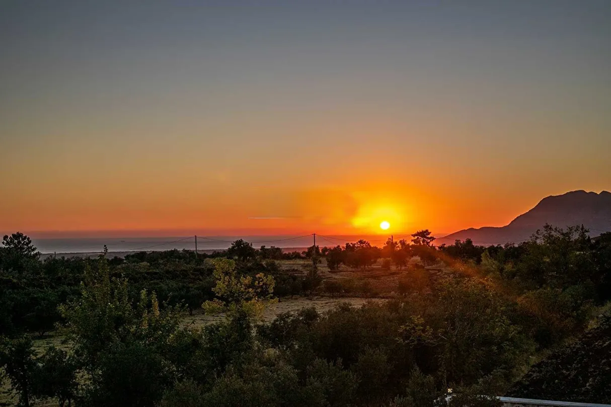 Hotel view 88
