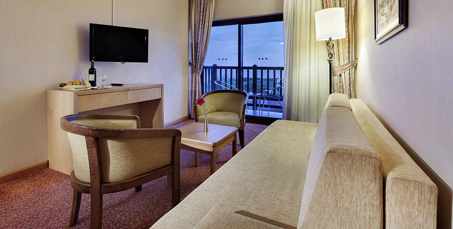 Hotel view 131