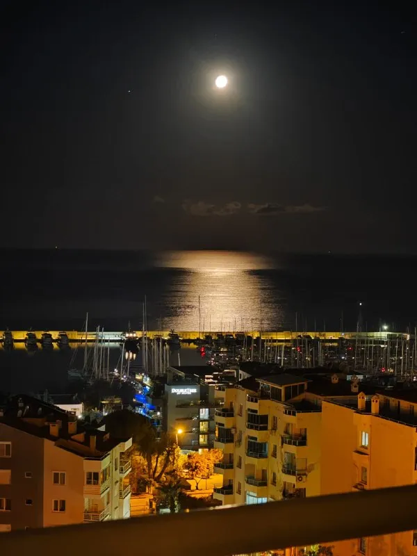 Hotel view 54