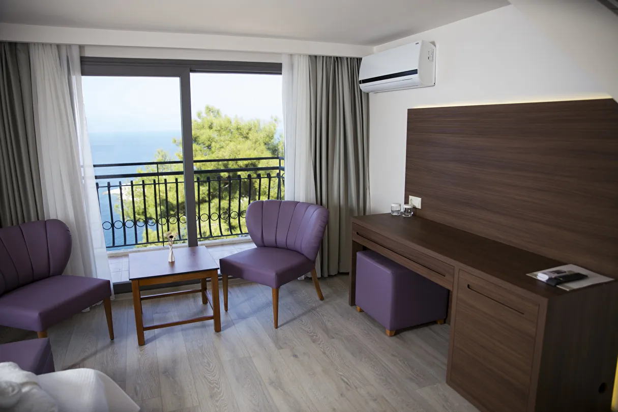 Hotel view 65