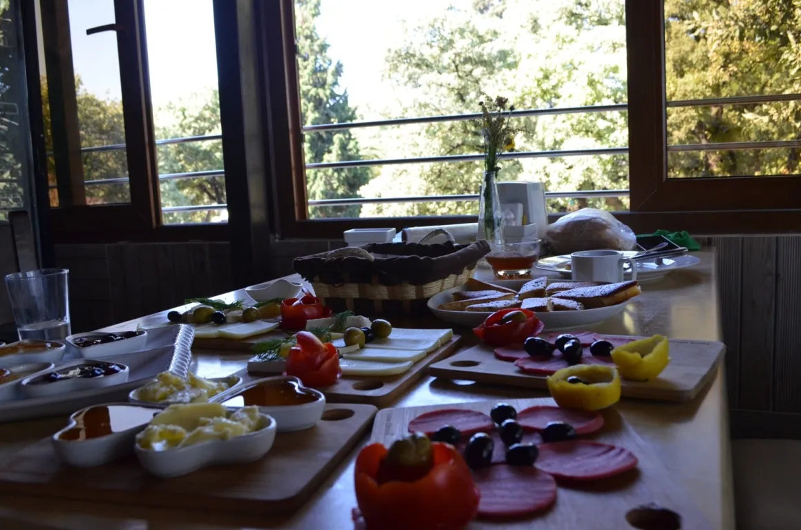Hotel view 37
