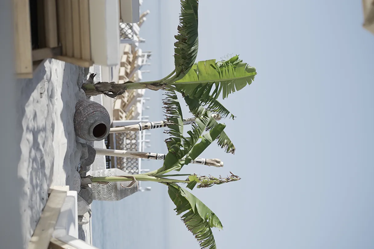 Hotel view 47