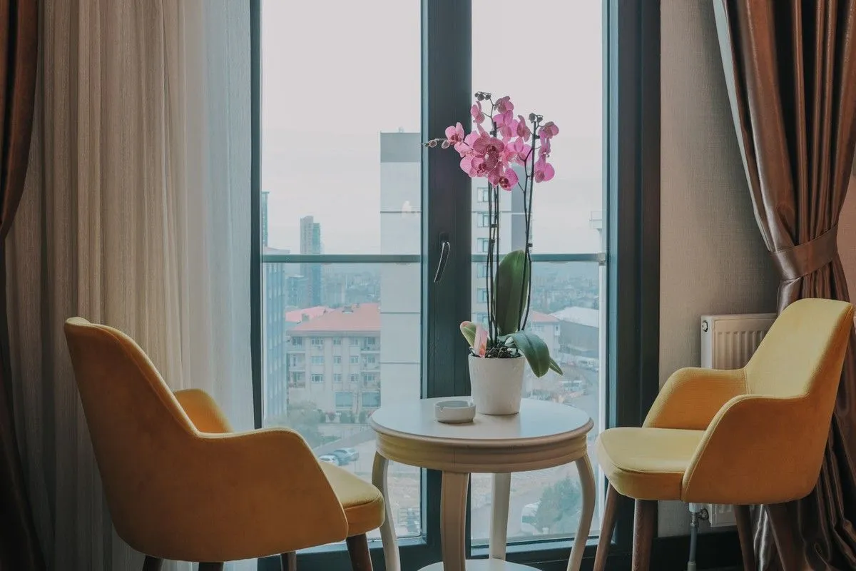 Hotel view 13