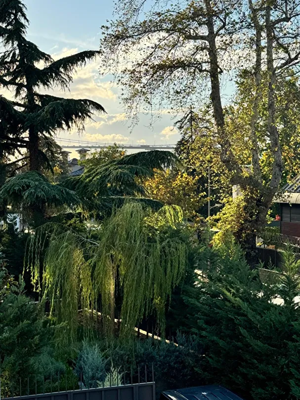 Hotel view 21