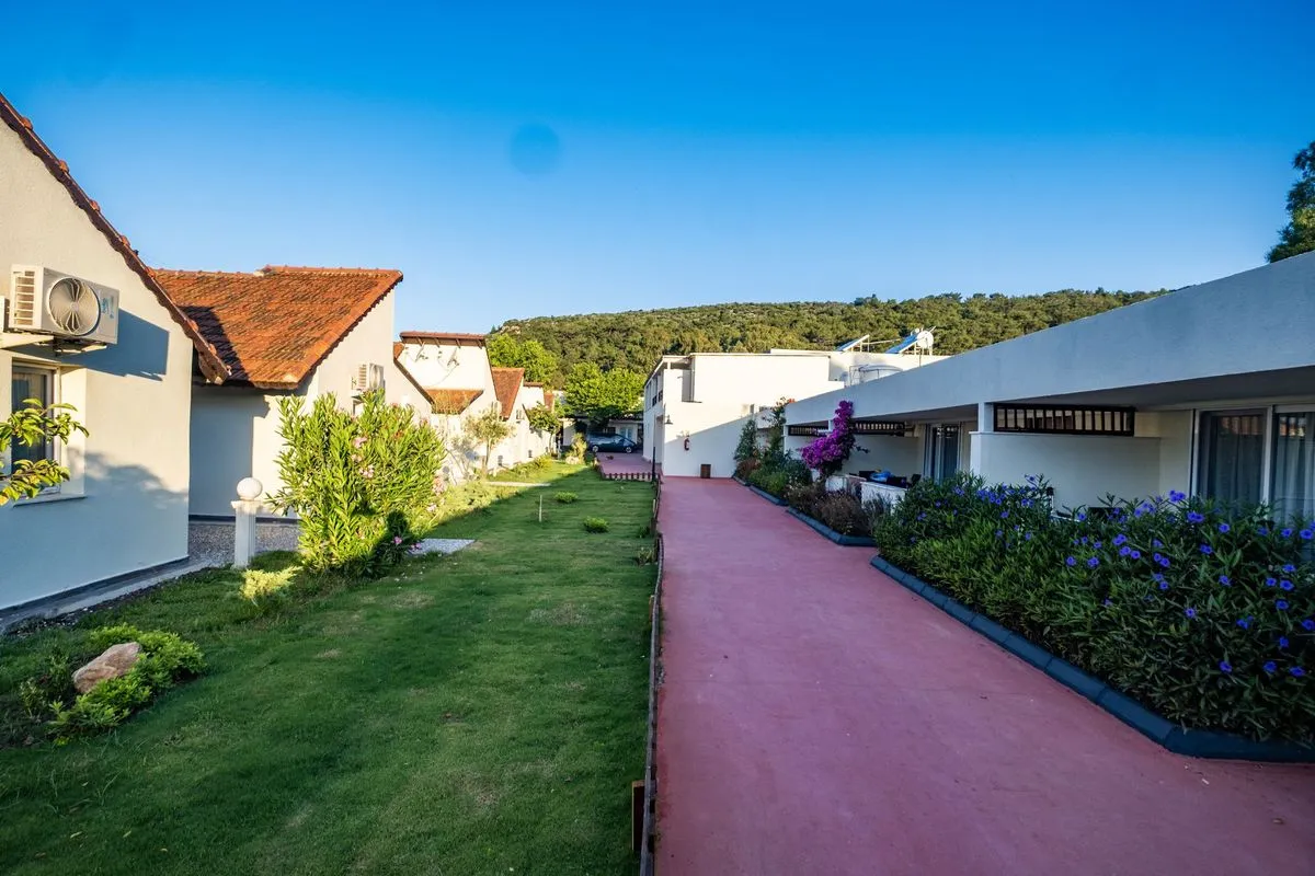 Hotel view 82