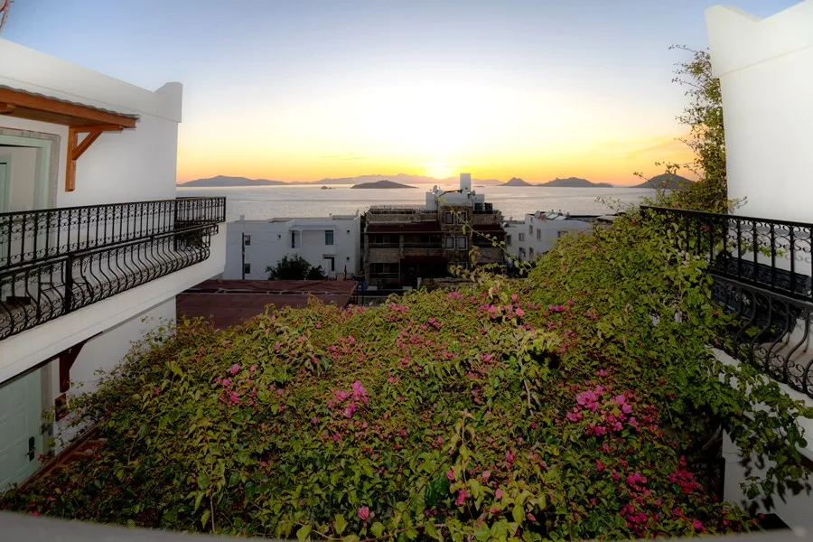 Hotel view 59