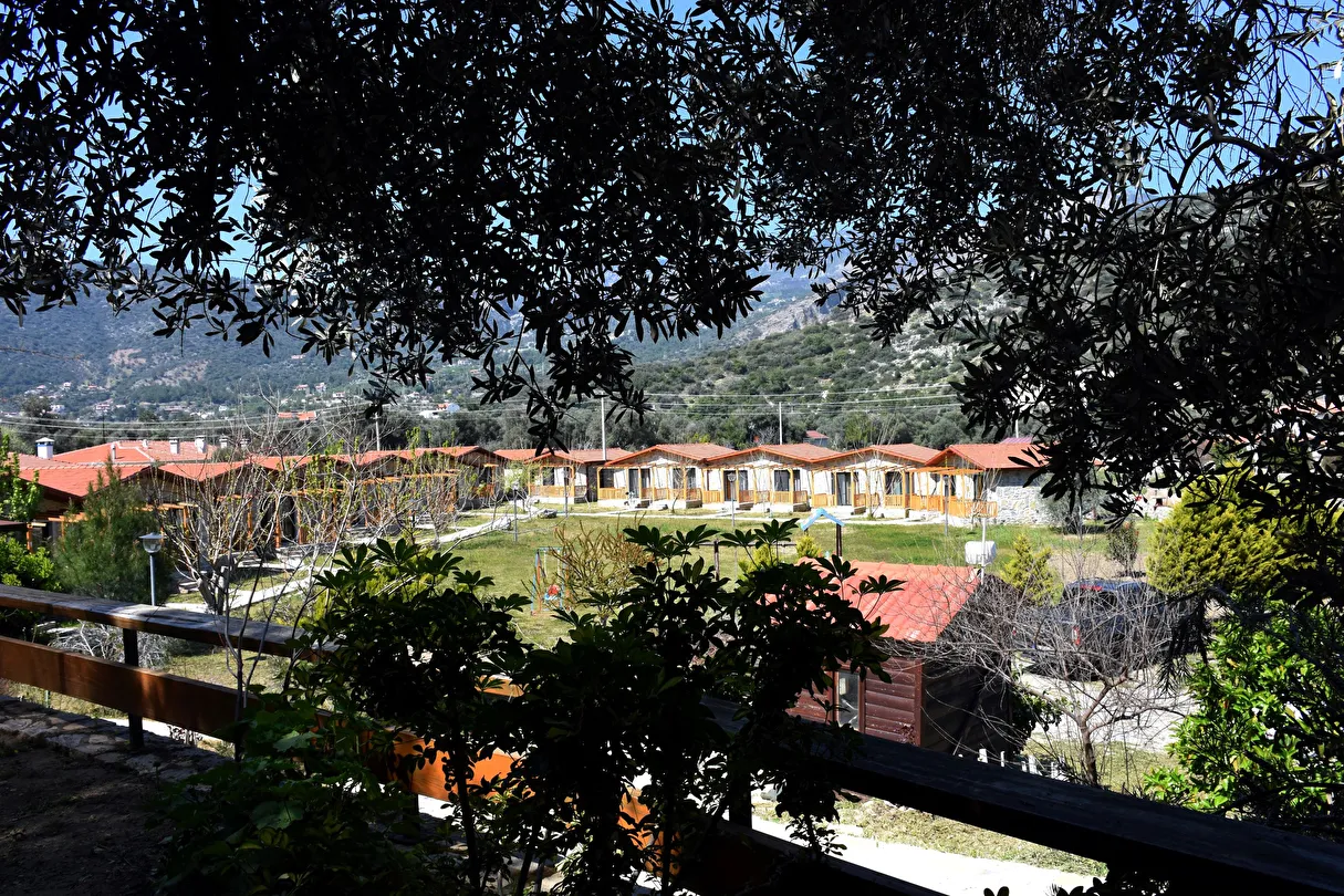 Hotel view 75