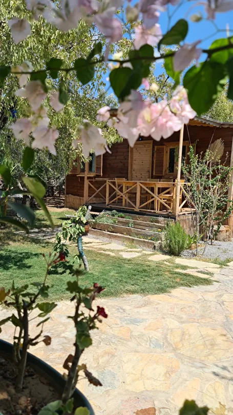 Hotel view 19