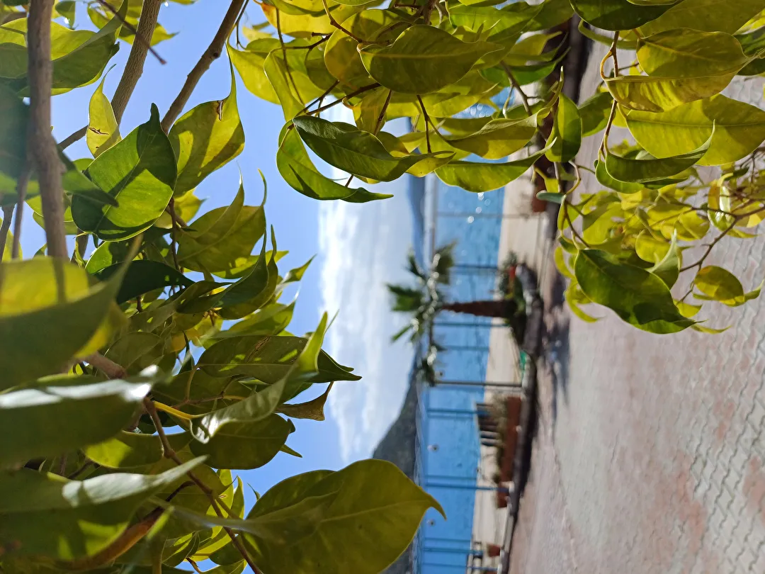 Hotel view 41