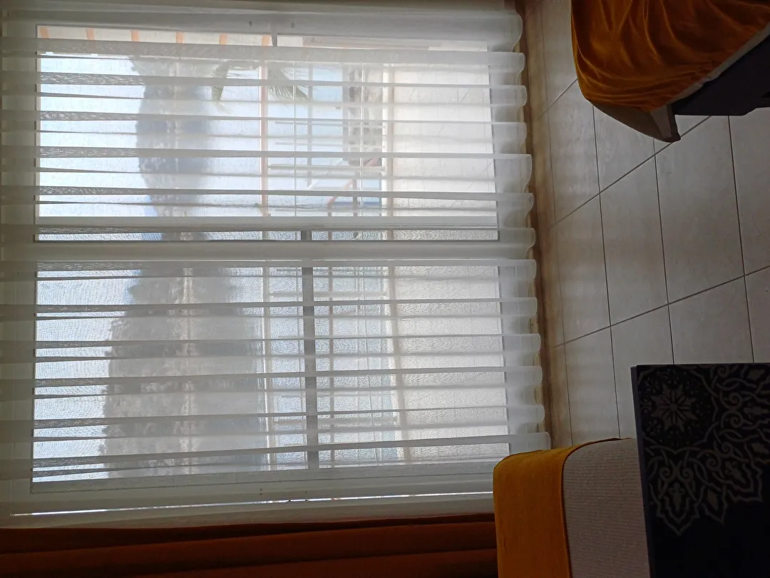 Hotel view 45