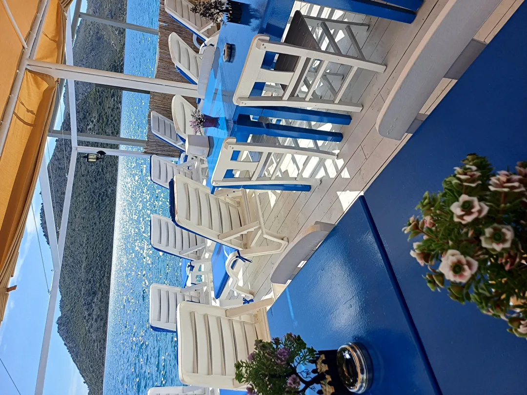 Hotel view 49