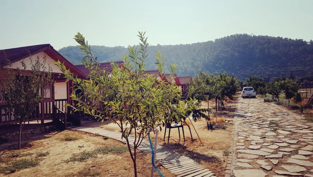 Fesleğenbükü Kamp
