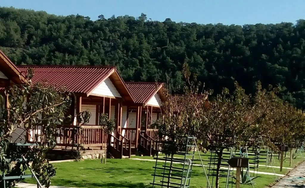 Hotel view 17