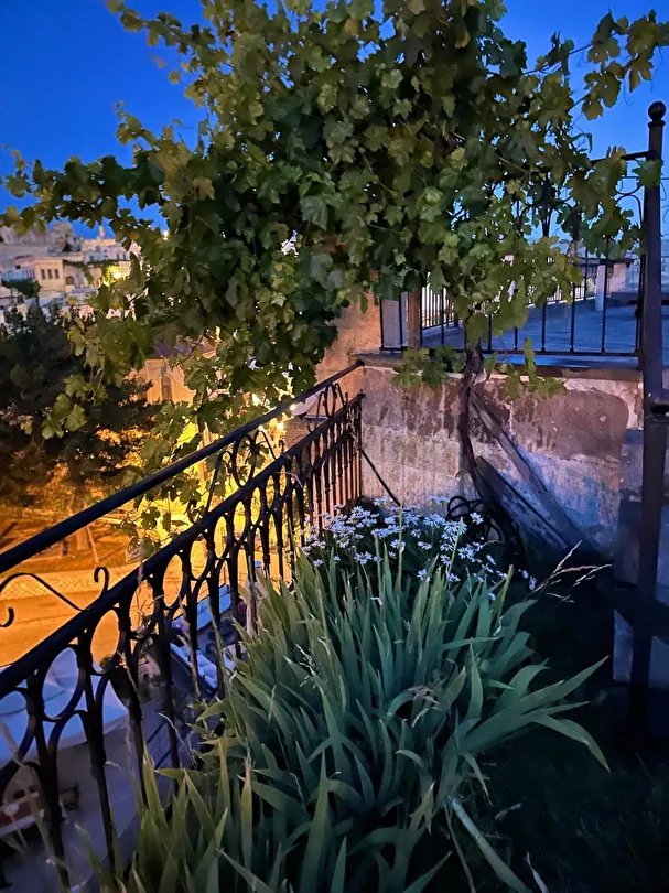 Hotel view 43