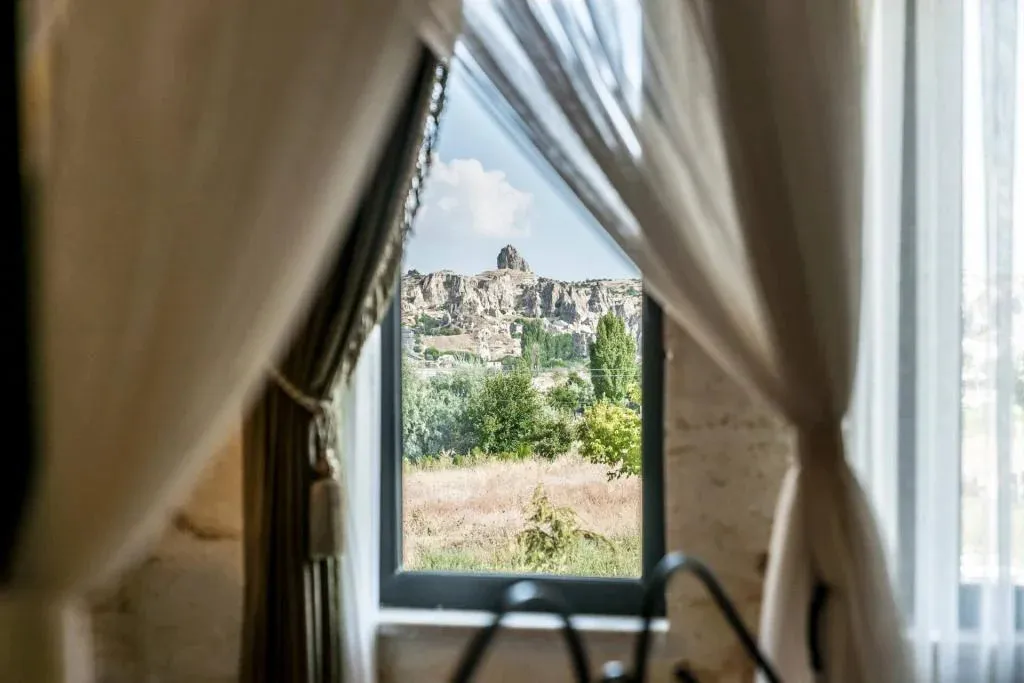 Hotel view 75