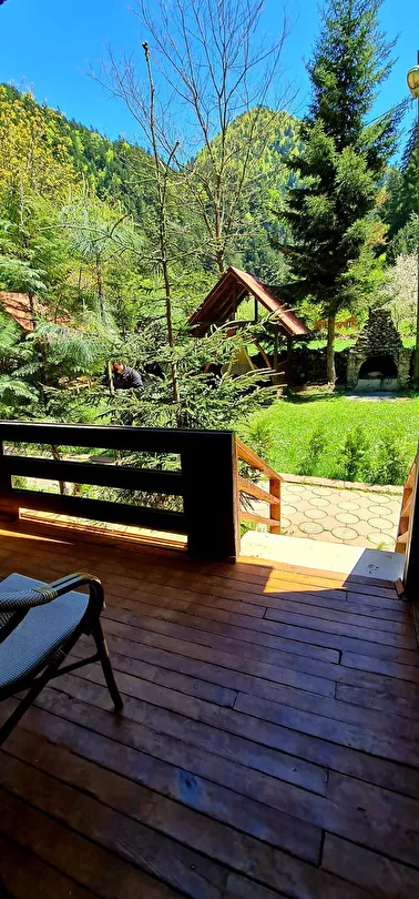 Hotel view 67