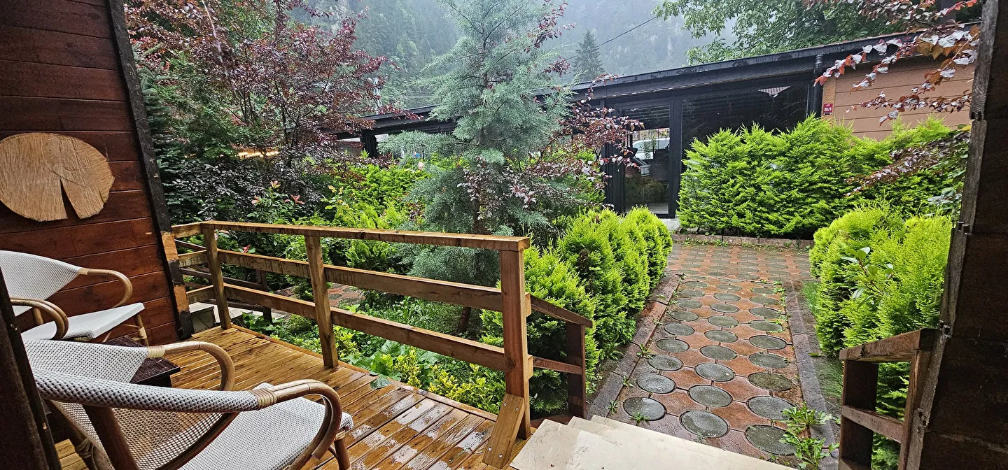 Hotel view 91