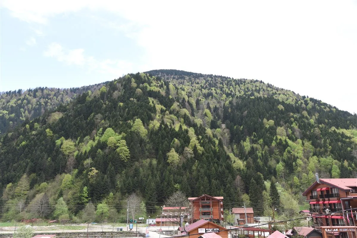 Hotel view 56